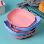 10pcs Colorful Bati/plates Set with Tray Holder