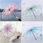 Fashionable-Transparent-Umbrella
