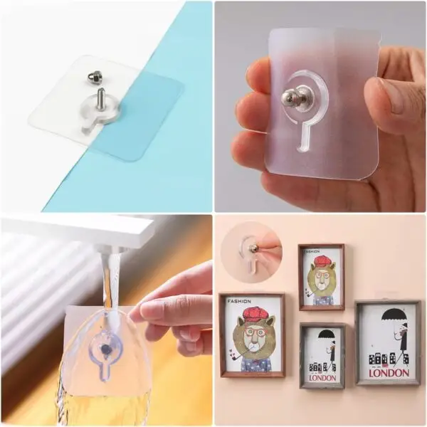 Transparent Wall Nut Hook